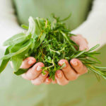 Handful-Herbs